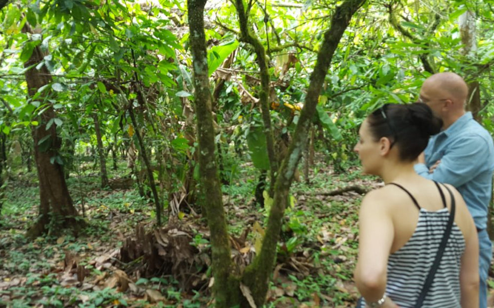 A cacao adventure in Costa Rica
