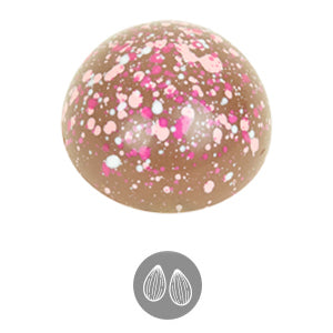 Image of Almond Blossom