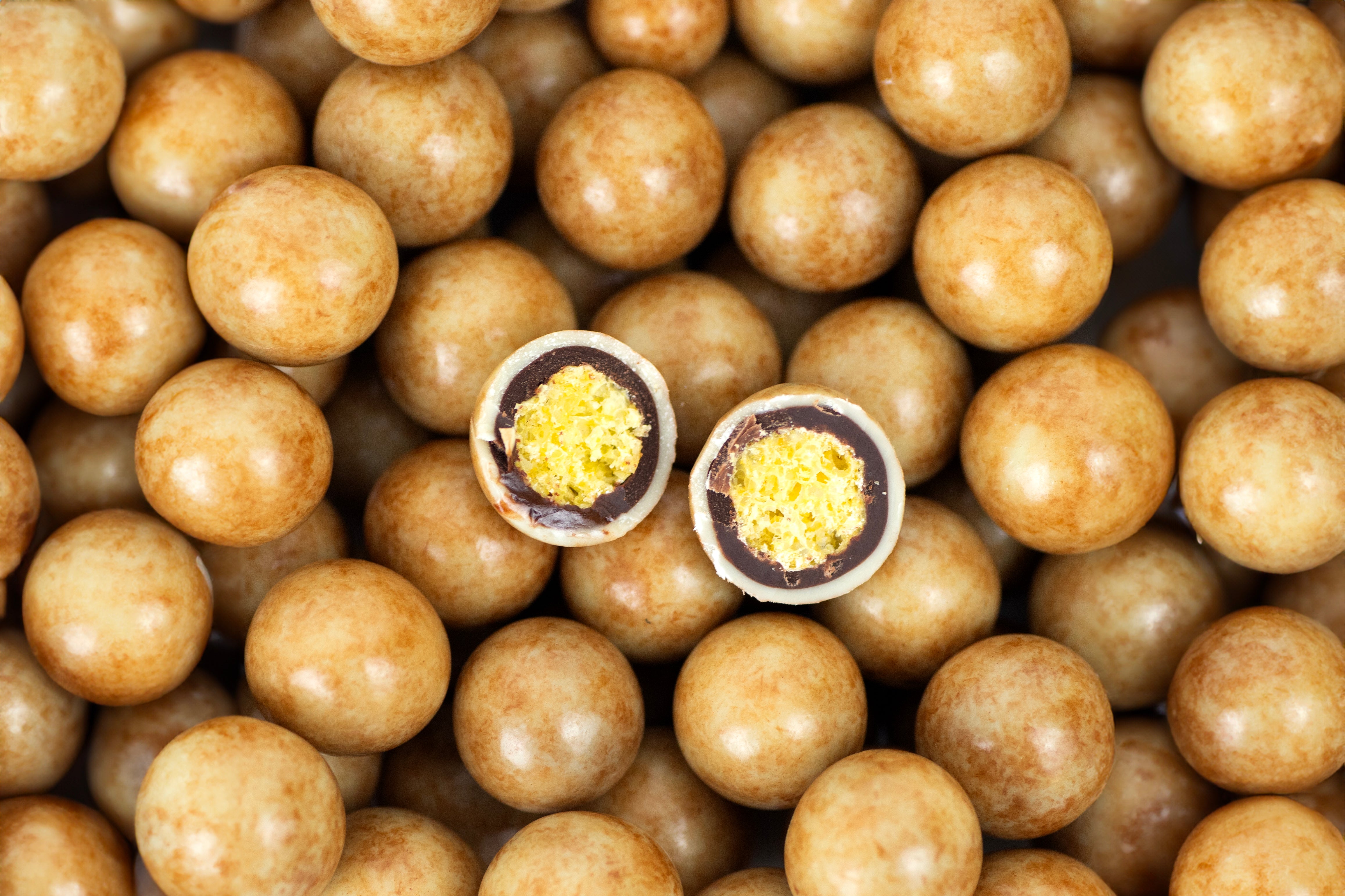 JACEK Chocolate Couture