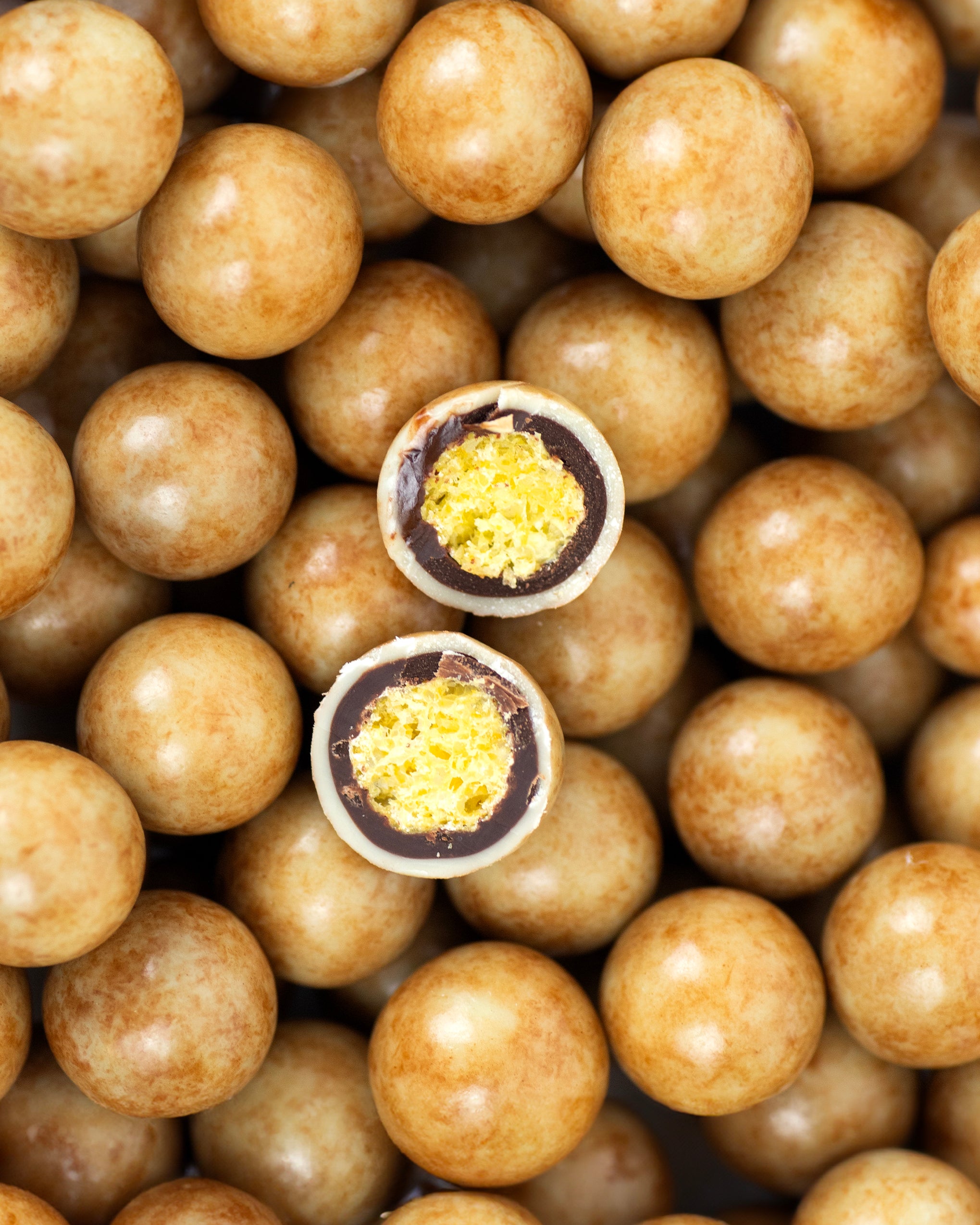 JACEK Chocolate Couture