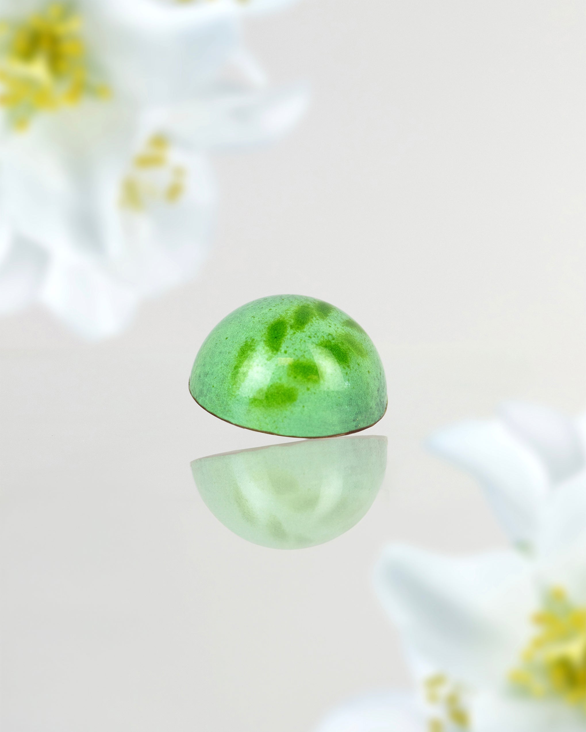 JACEK Chocolate Couture